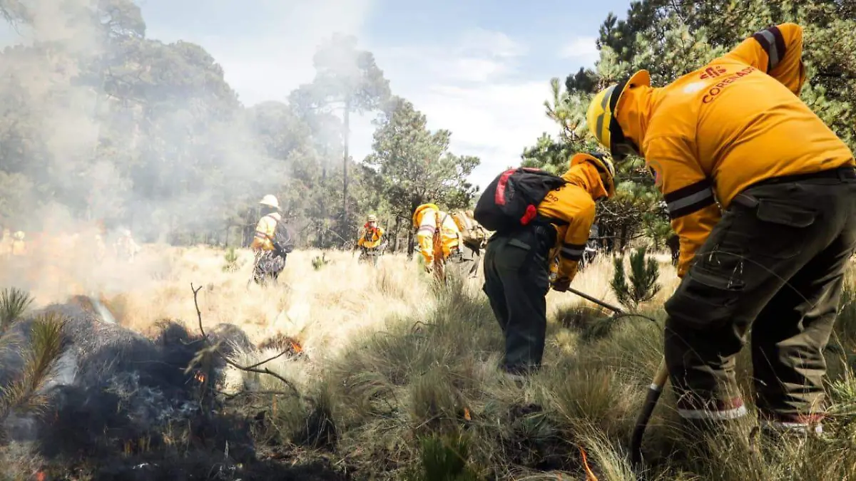 Incendios forestales  (2)